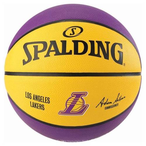 Basketball set Spartan Wall Mounted Backboard + Spalding LAL Ball