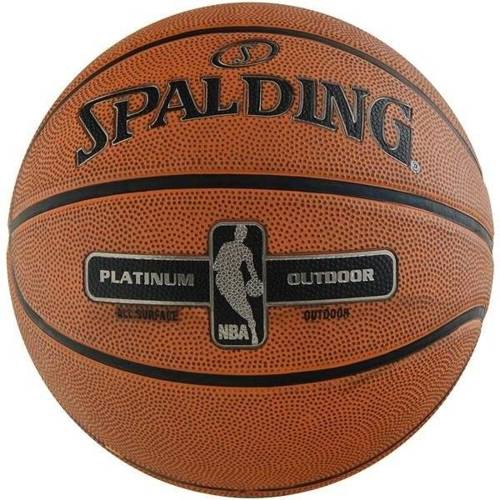 Basketball set Spartan Wall Mounted Backboard + Spalding NBA Platinum