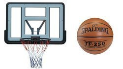 Basketball set Spartan Wall Mounted Backboard + Spalding TF-250